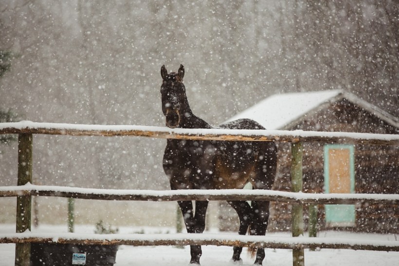 LTTR - Winter LTTR - Winter