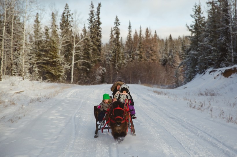 LTTR - Christmas LTTR - Christmas