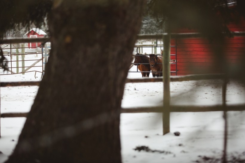 LTTR - March LTTR - March