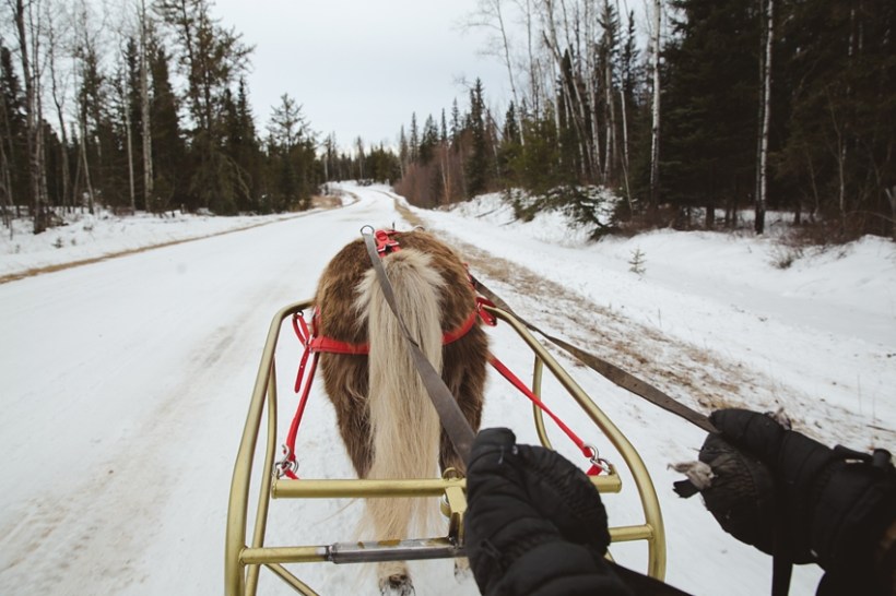 LTTR - March LTTR - March