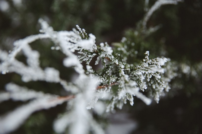 LTTR - March LTTR - March