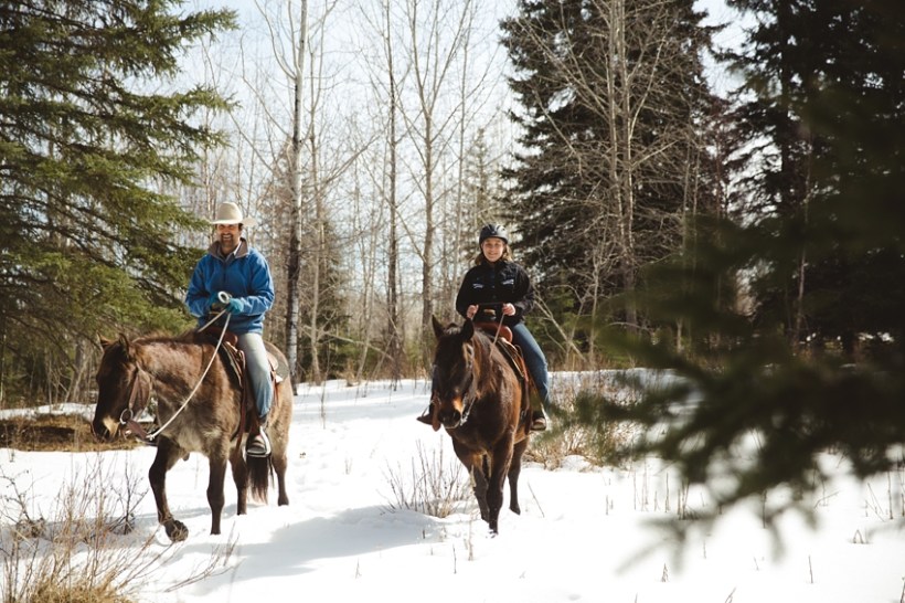 LTTR - Spring! LTTR - Spring!