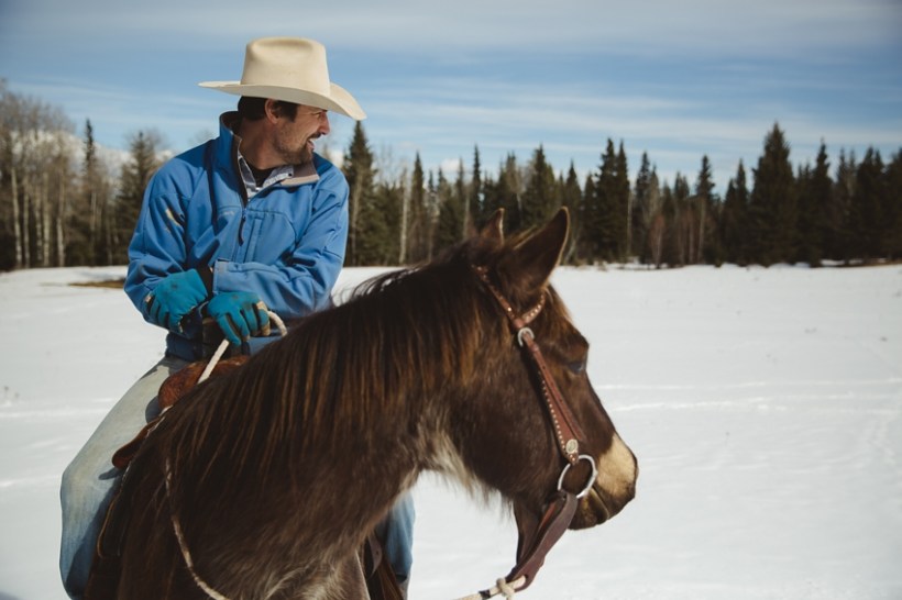 LTTR - Spring! LTTR - Spring!