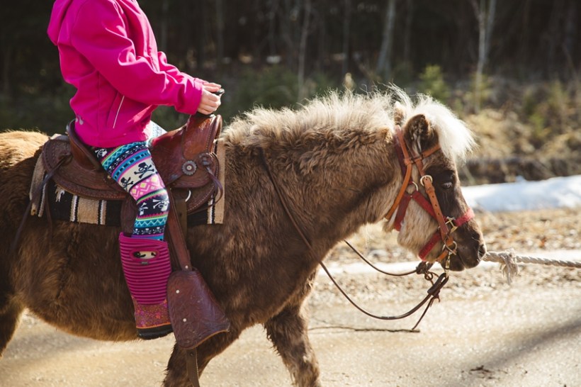 LTTR - Spring! LTTR - Spring!