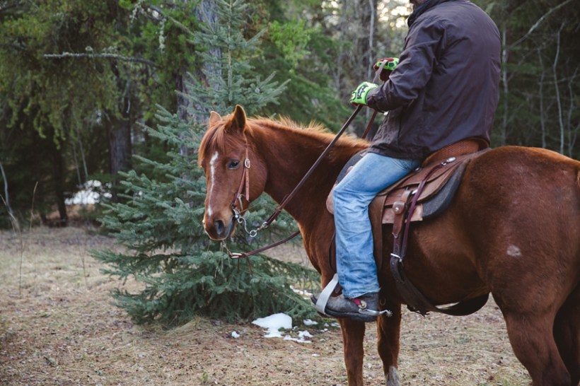 Leaning Tree Trail Rides - May
