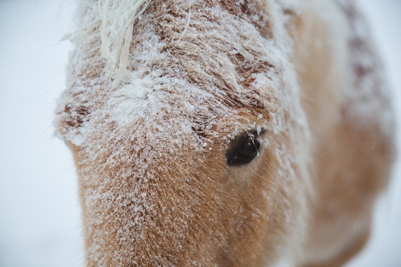 LTTR - WINTER LTTR - WINTER