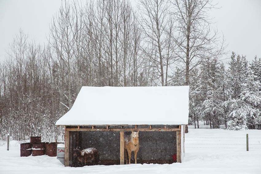 LTTR - WINTER LTTR - WINTER
