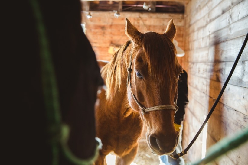 LTTR - WINTER LTTR - WINTER