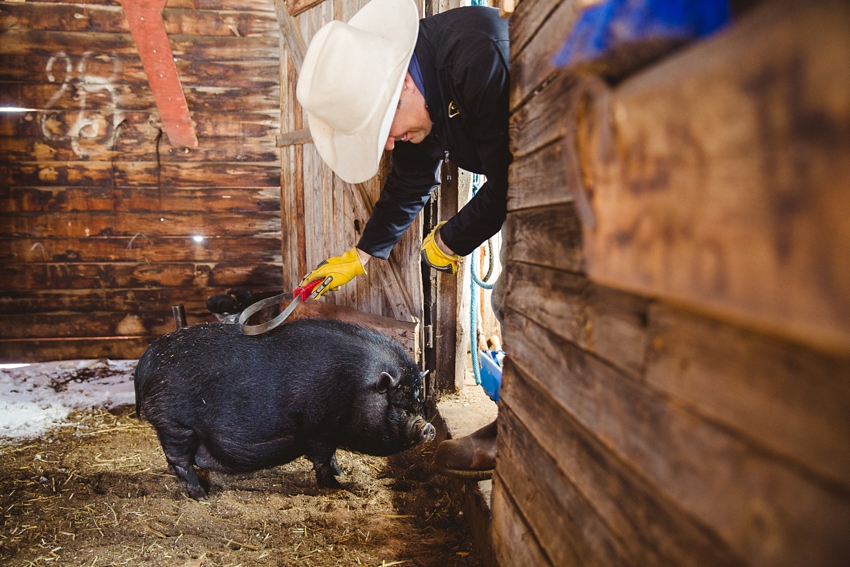 LTTR - WINTER LTTR - WINTER