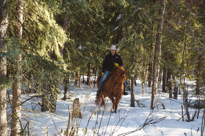 LTTR - WINTER LTTR - WINTER