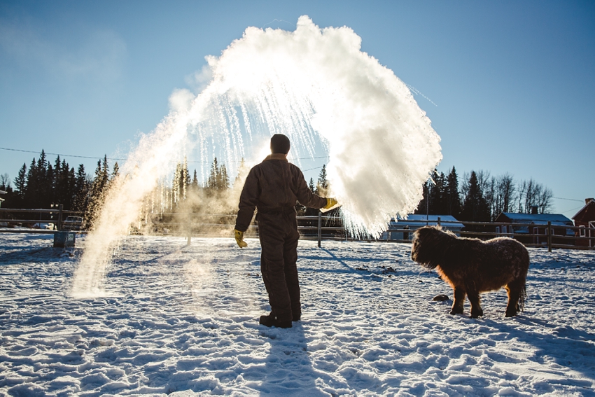 LTTR - WINTER LTTR - WINTER