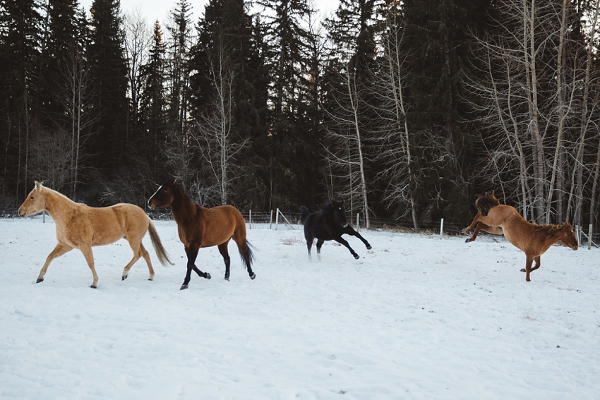 LTTR - WINTER LTTR - WINTER