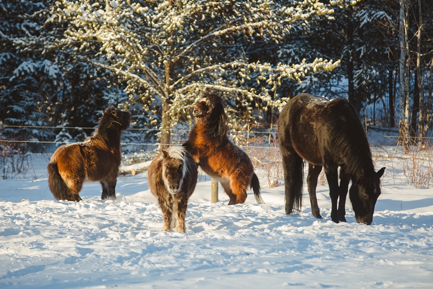 LTTR - WINTER LTTR - WINTER