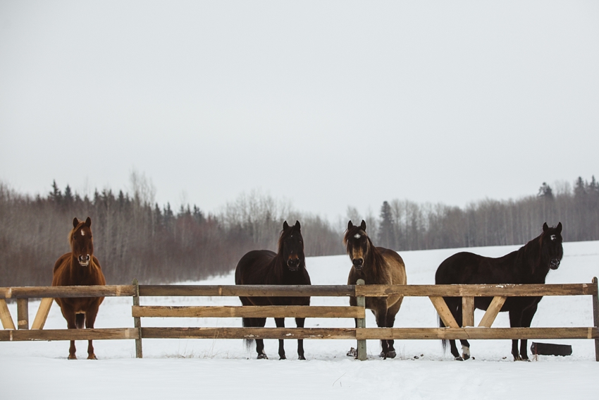 LTTR - WINTER LTTR - WINTER
