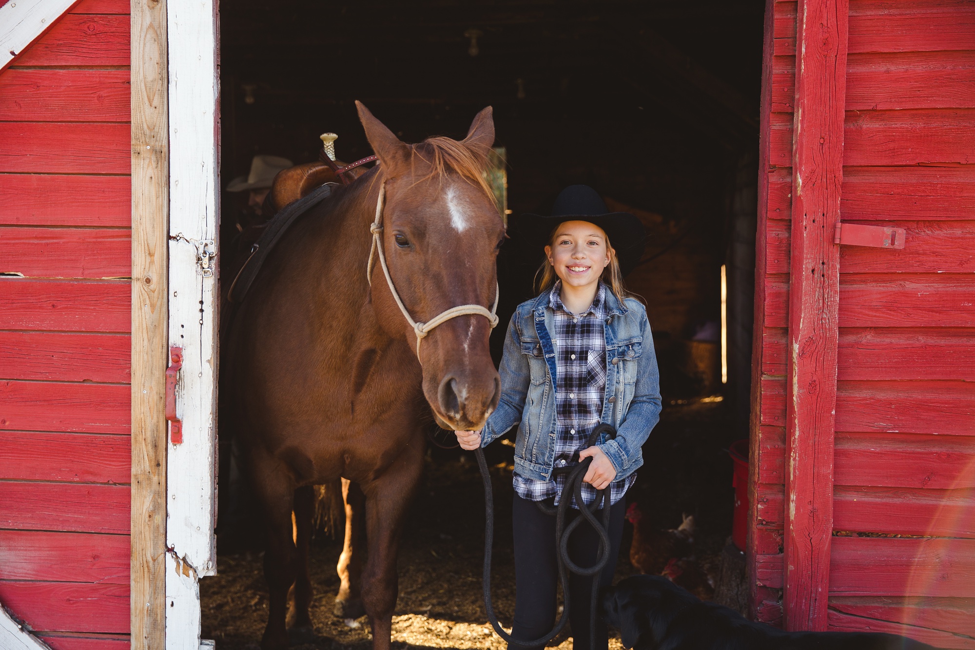 LTTR - Alberta Trail Riding LTTR - Alberta Trail Riding
