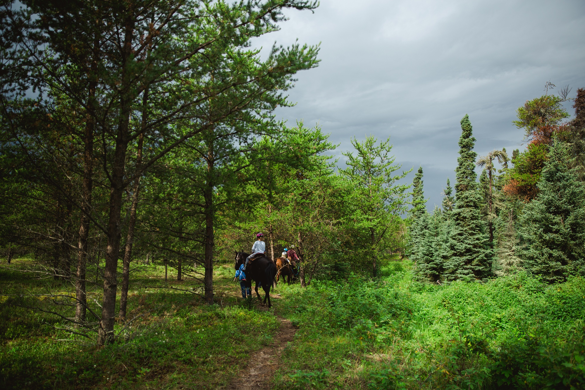 LTTR - Mid Season 2019 LTTR - Mid Season 2019