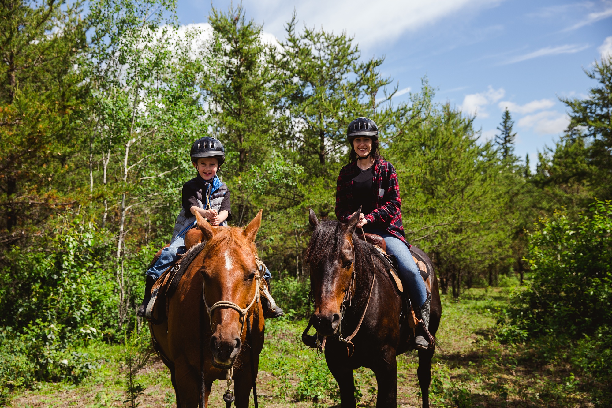 LTTR - Mid Season 2019 LTTR - Mid Season 2019