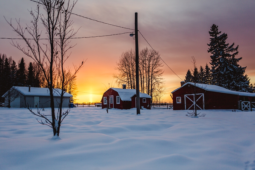 Leaning Tree Trail Rides Leaning Tree Trail Rides