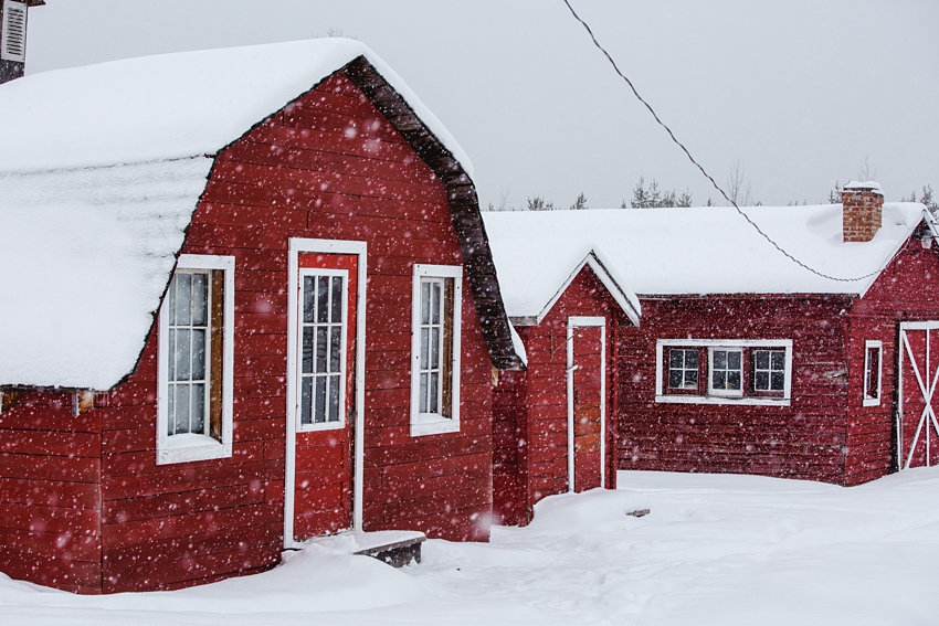 Leaning Tree Trail Rides Leaning Tree Trail Rides