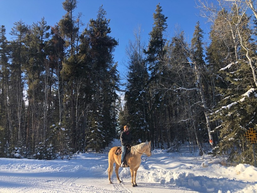 Leaning Tree Trail Rides Leaning Tree Trail Rides