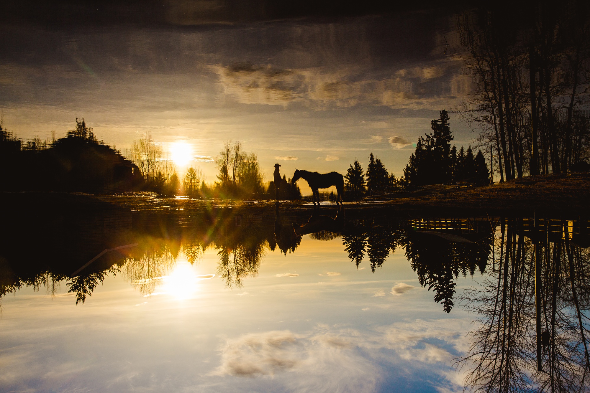 2020-06-06_0001.jpg 2020-06-06_0001.jpg