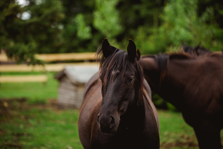 2020-06-06_0004.jpg 2020-06-06_0004.jpg