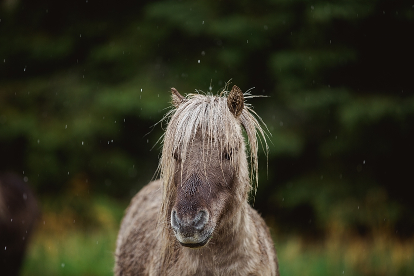 2020-06-06_0007.jpg 2020-06-06_0007.jpg