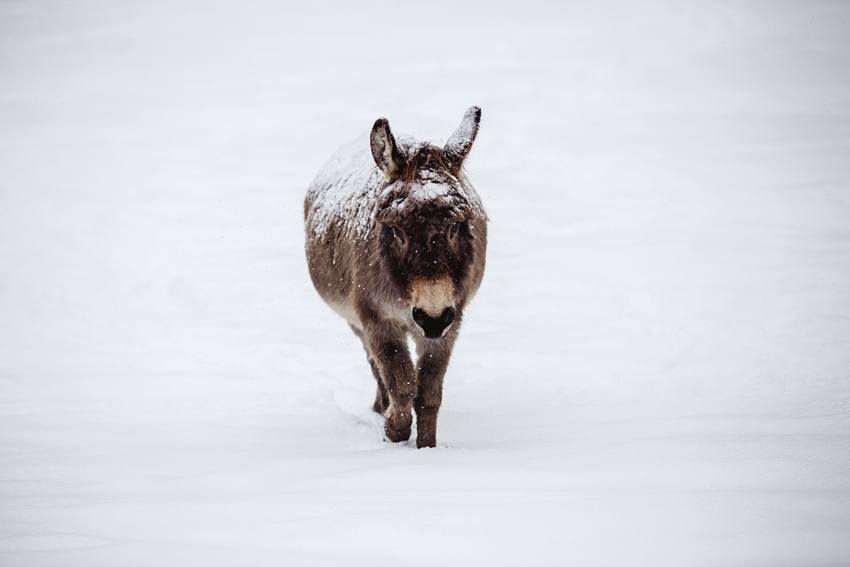 2021-02-12_0011.jpg 2021-02-12_0011.jpg