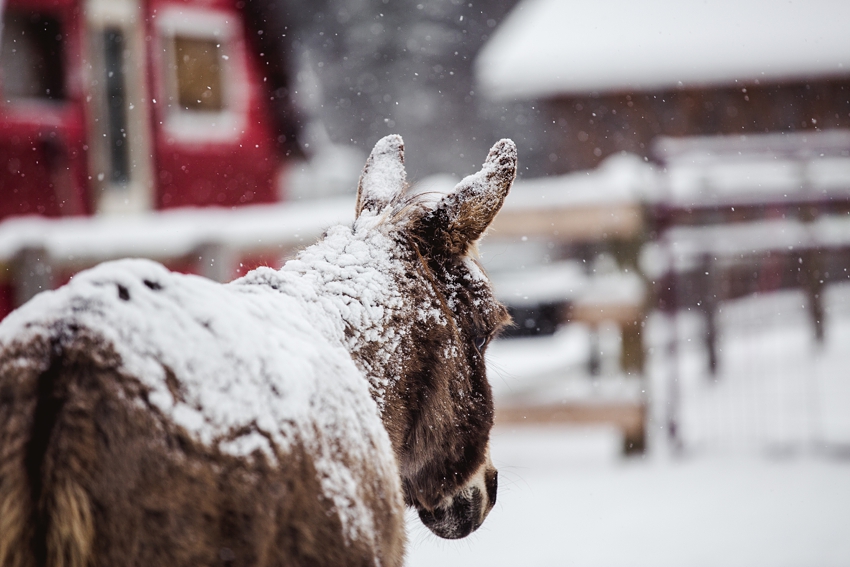 2021-02-12_0012.jpg 2021-02-12_0012.jpg