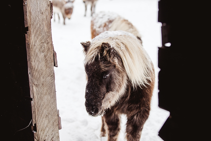 2021-02-12_0013.jpg 2021-02-12_0013.jpg