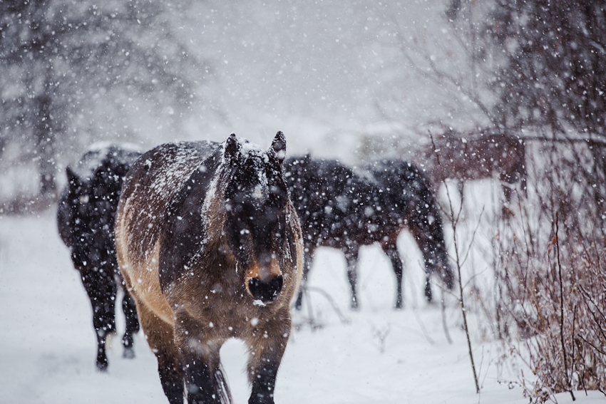 2021-02-12_0016.jpg 2021-02-12_0016.jpg