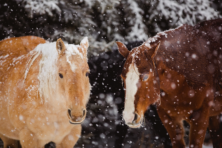 2021-02-12_0017.jpg 2021-02-12_0017.jpg