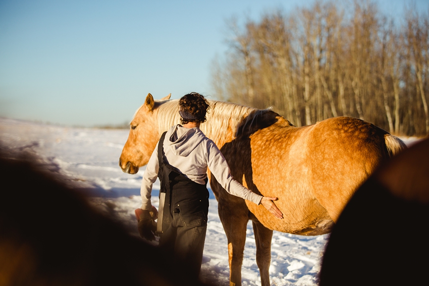 2021-02-12_0023.jpg 2021-02-12_0023.jpg