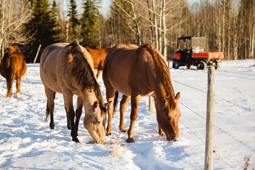 2021-02-12_0024.jpg 2021-02-12_0024.jpg