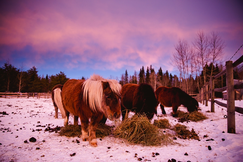 2021-02-12_0027.jpg 2021-02-12_0027.jpg