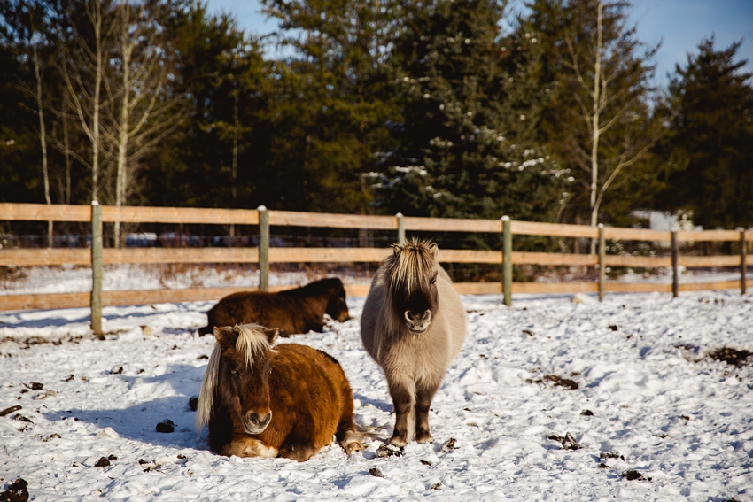 2021-02-12_0028.jpg 2021-02-12_0028.jpg