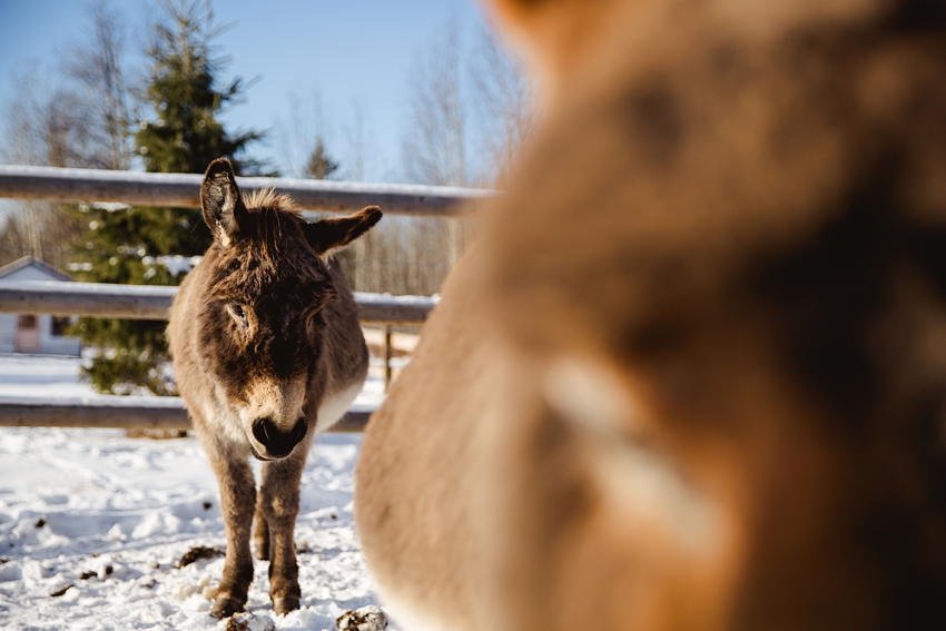 2021-02-12_0030.jpg 2021-02-12_0030.jpg