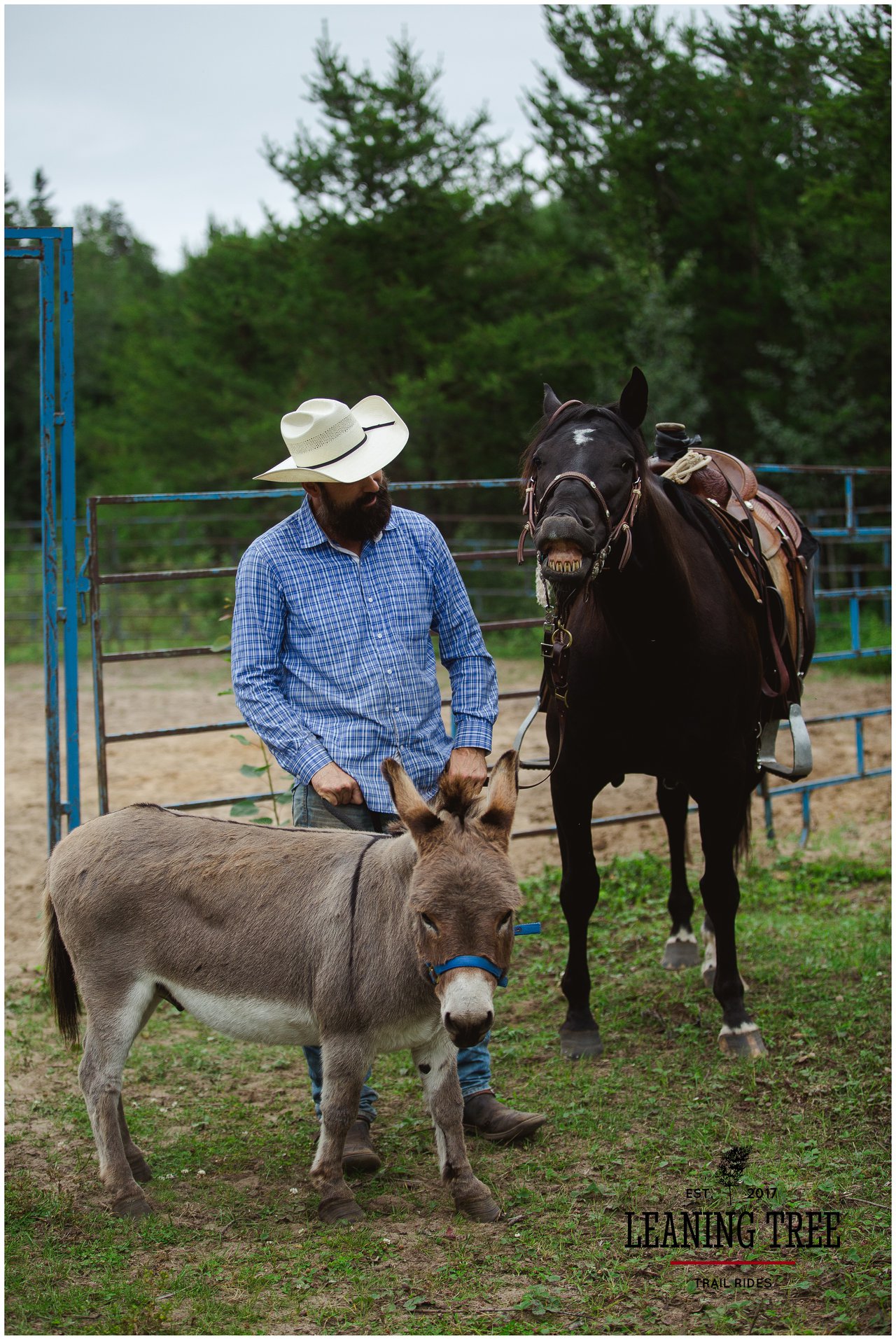 68413260_893500921014506_1067974765253230592_n